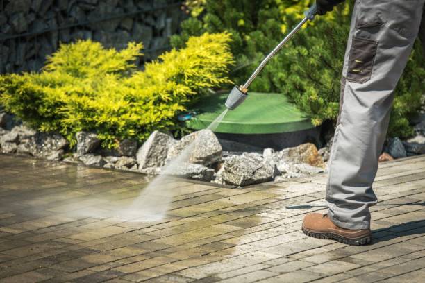 Best Vinyl Siding Pressure Washing in Windcrest, TX