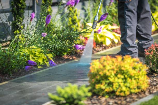 Reliable Windcrest, TX Pressure Washing Services Solutions