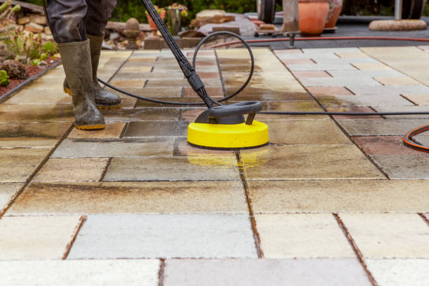 Best Roof Cleaning and Mildew Removal in Windcrest, TX