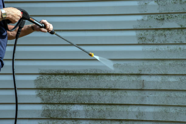 Best Concrete Surface Cleaning in Windcrest, TX